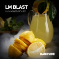 LM-BLAST
